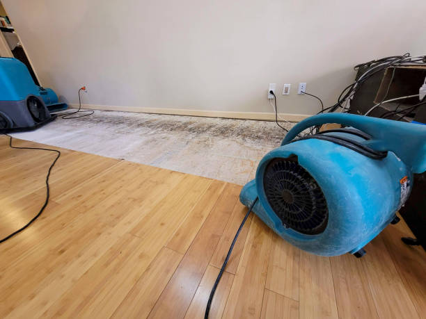 Professional Flood Damage Cleanup technician working in Grand Haven, MI